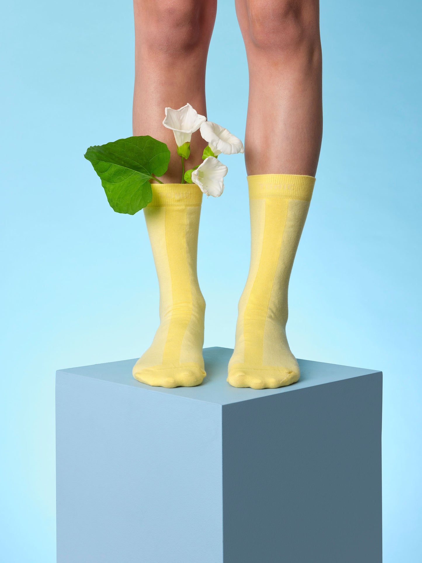 Colour Pop Hospital Socks Yellow