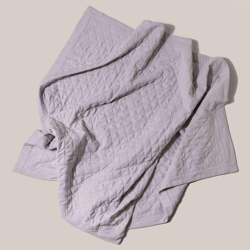 Quilted Treatment Day Blanket Set Silver Grey